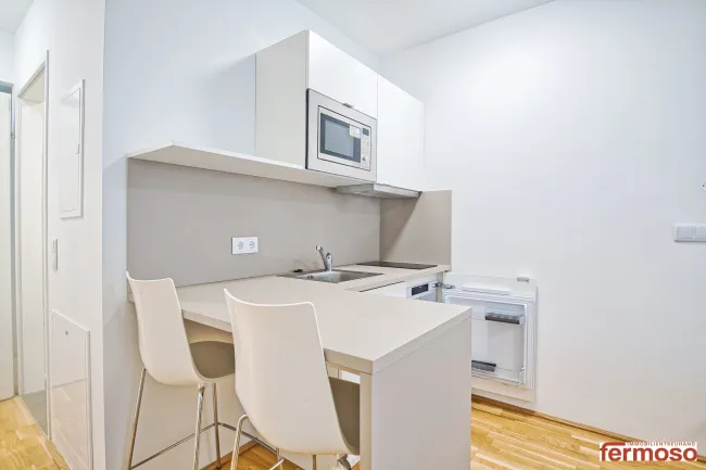 möblierte Apartments zur Kurzzeitmiete (2-12 Monate) / furnished apartments for short-term rental (2-12 months) - Bild