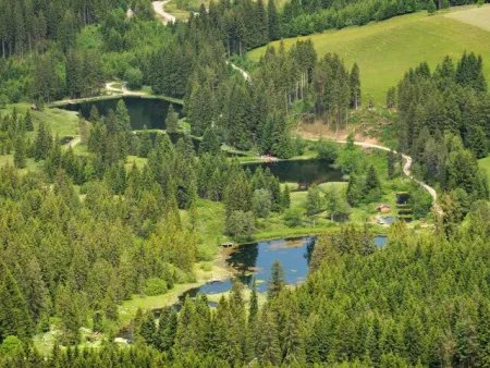 Gastronomiebetrieb "Pfahlbaudorf" am Weberteich - Bild