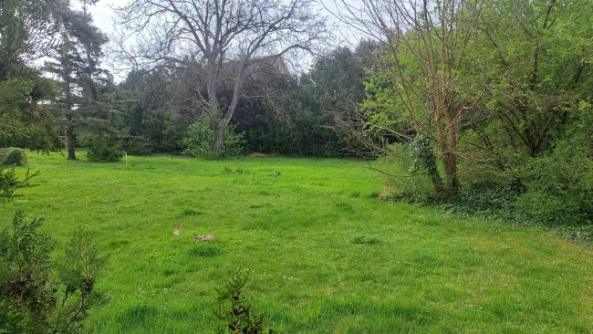 400m² in 1220 Wien GS 80m², - Titelbild