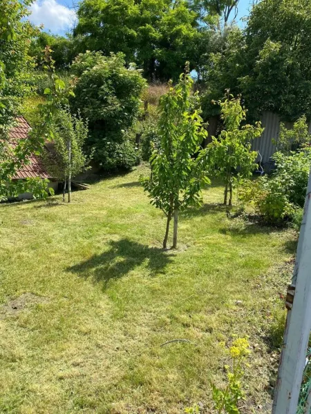 Nasch- und Obstbaumgarten hinter dem Weinkeller