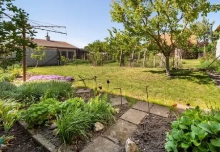 Blick in den Garten