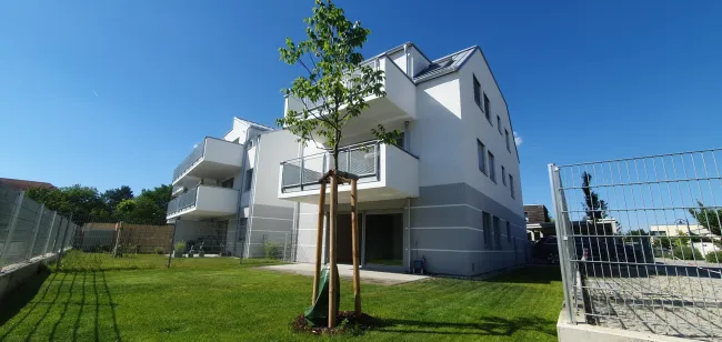 Heimgym KI generiert