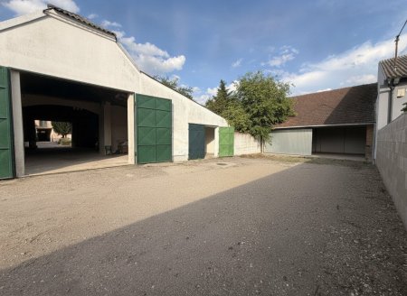 Freifläche
