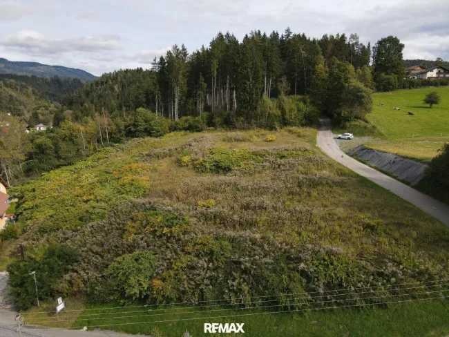 DJI_0037