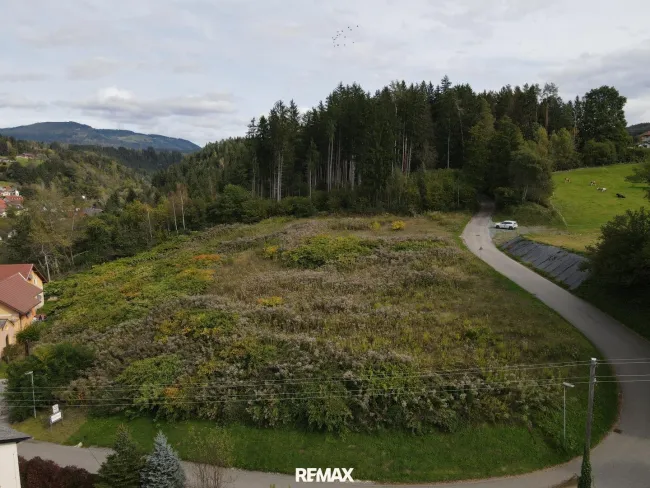 DJI_0041