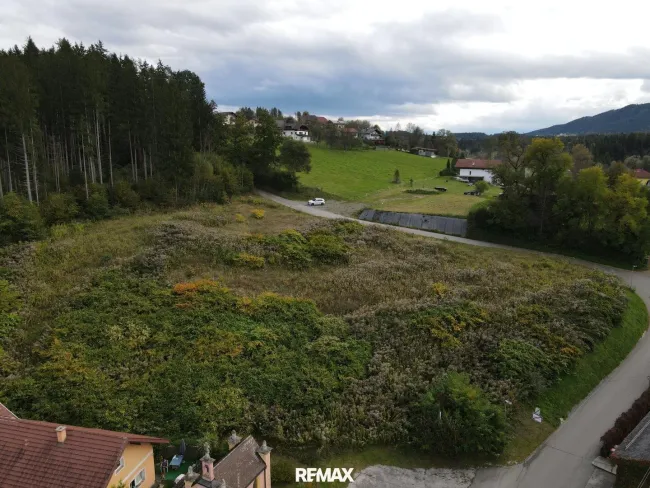 DJI_0024