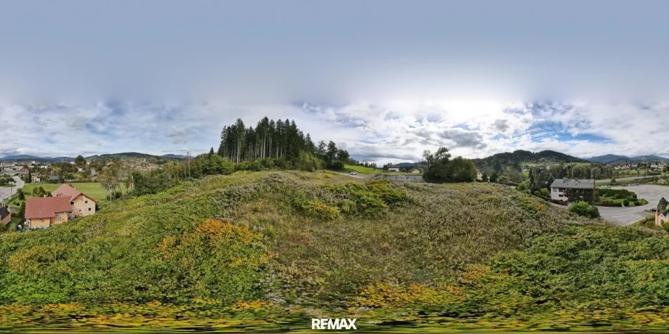 DJI_0024