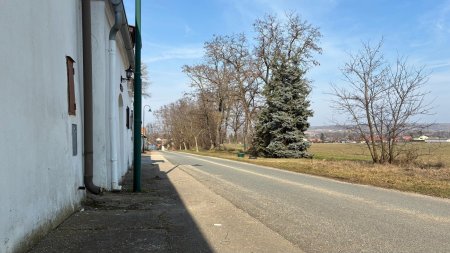Steck dir deine Sorgen an den Hut im eigenen Presshaus