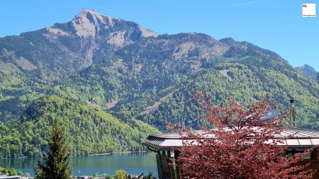 Sommerfrische am Wolfgangsee