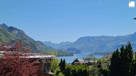 Sommerfrische am Wolfgangsee