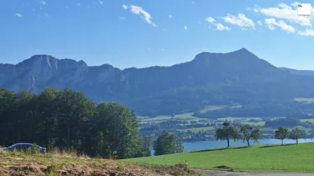 Architektur trifft Panorama – Neubauvillen am Mondsee - unglaublich schön!