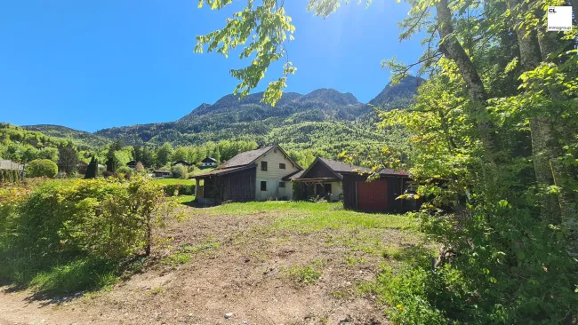 Bad Ischl - Nussensee - großzügiger Baugrund in herrlicher ruhiger Lage! - Bild