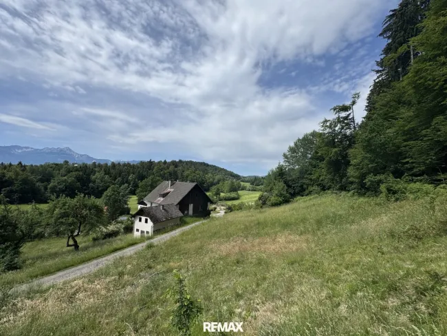 Karawankenblick