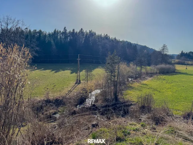 Grundstück 1 Süd-West Bach