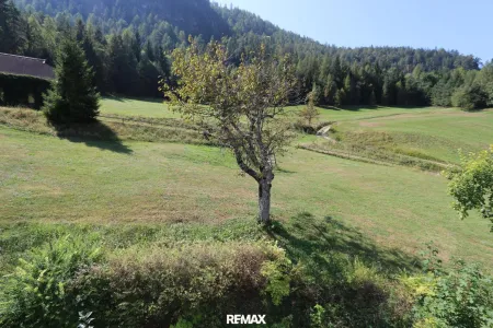 Blick in den Garten