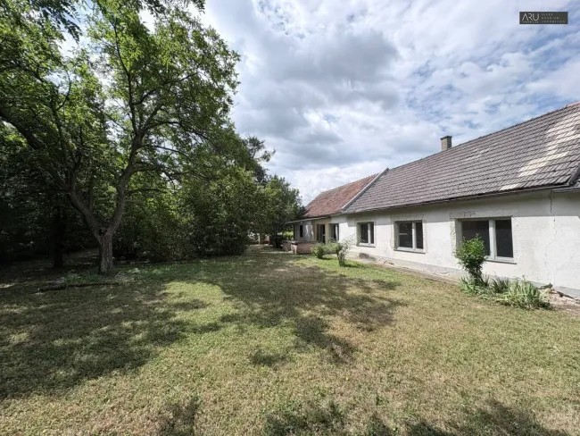 Einfamilienhaus mit großem Grundstück in ruhiger Lage - Titelbild