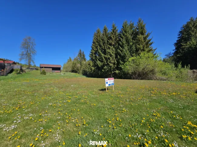 Sonniges Baugrundstück in Weißkirchen – Ihr Platz zum Ankommen und Wohlfühlen - Bild