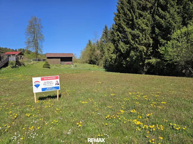 Sonniges Baugrundstück in Weißkirchen – Ihr Platz zum Ankommen und Wohlfühlen - Titelbild