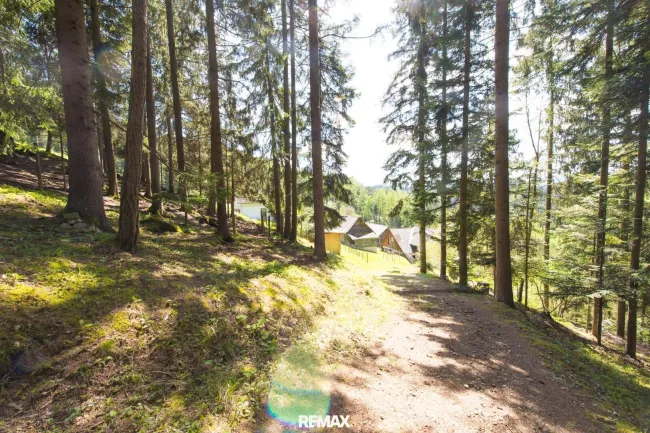 Wald