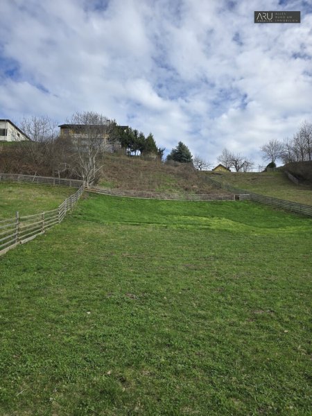 Großes Grundstück