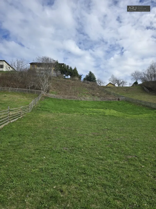 Großes Grundstück - Bild