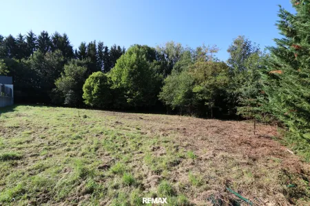Vom Traum zum Zuhause – 821 m² Lebensfreude in Steinhaus - Grundstück mit vielen Möglichkeiten