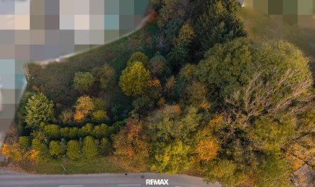 Vom Traum zum Zuhause – 821 m² Lebensfreude in Steinhaus - Grundstück mit vielen Möglichkeiten