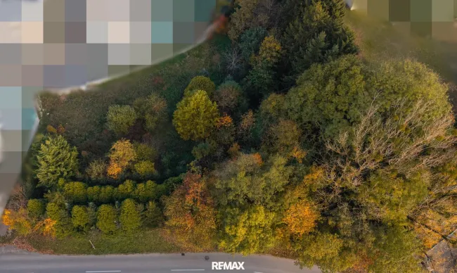 Vom Traum zum Zuhause – 821 m² Lebensfreude in Steinhaus - Grundstück mit vielen Möglichkeiten - Titelbild