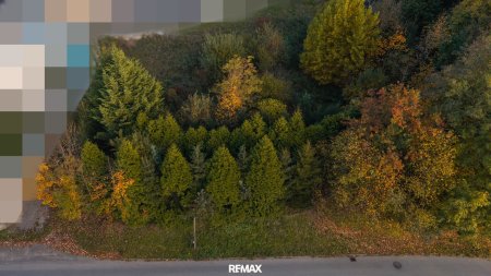 Vom Traum zum Zuhause – 821 m² Lebensfreude in Steinhaus - Grundstück mit vielen Möglichkeiten