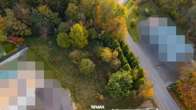 Vom Traum zum Zuhause – 821 m² Lebensfreude in Steinhaus - Grundstück mit vielen Möglichkeiten - Bild