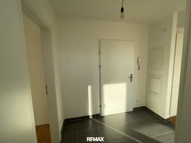 Haus