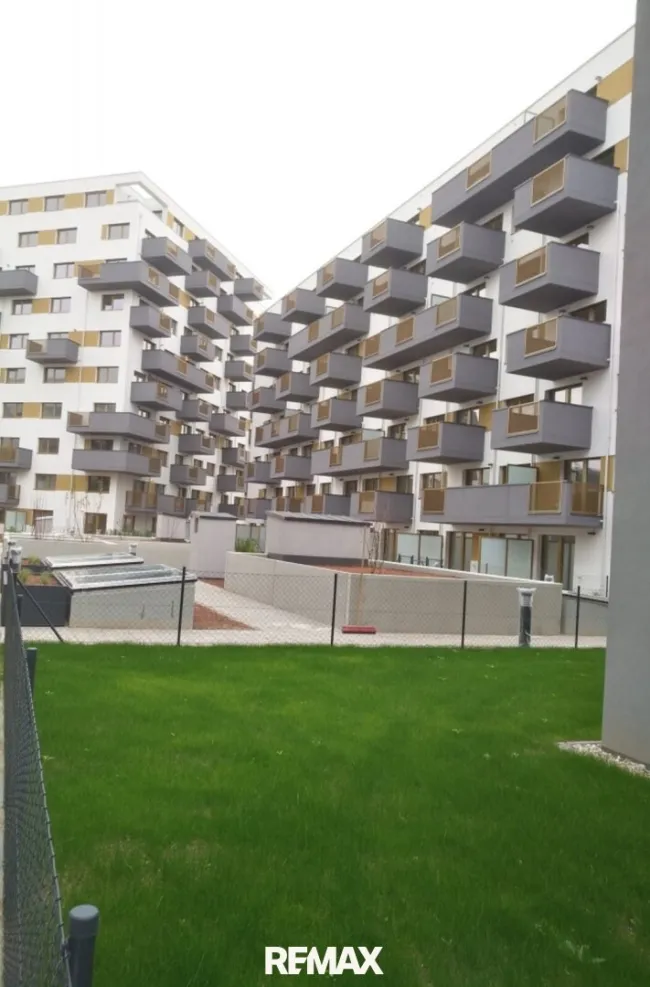 Haus