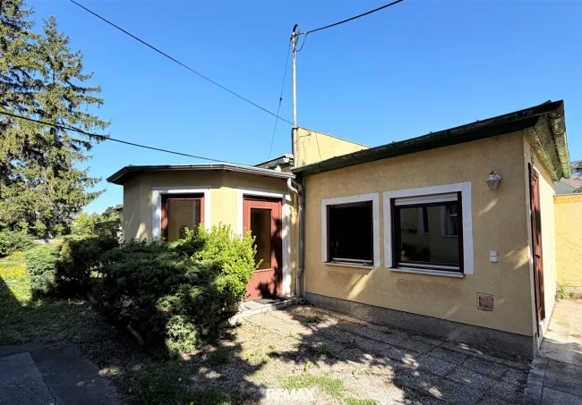 Haus