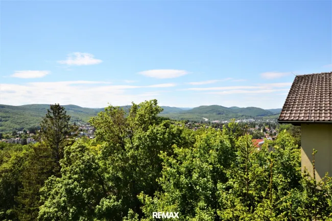 Ausblick