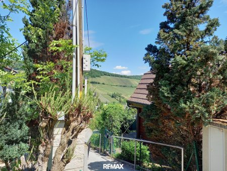 Ausblick Garten