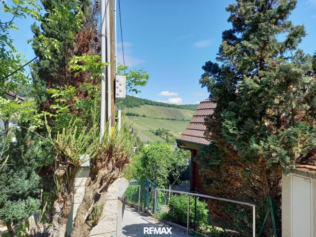 Haus Bild 1