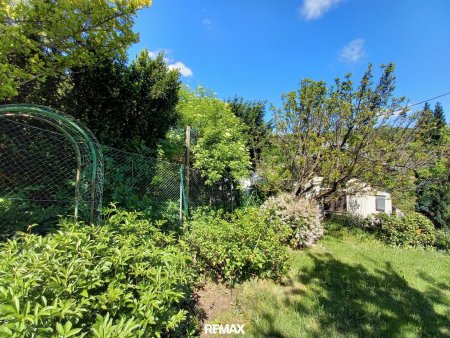 Garten Bild 1