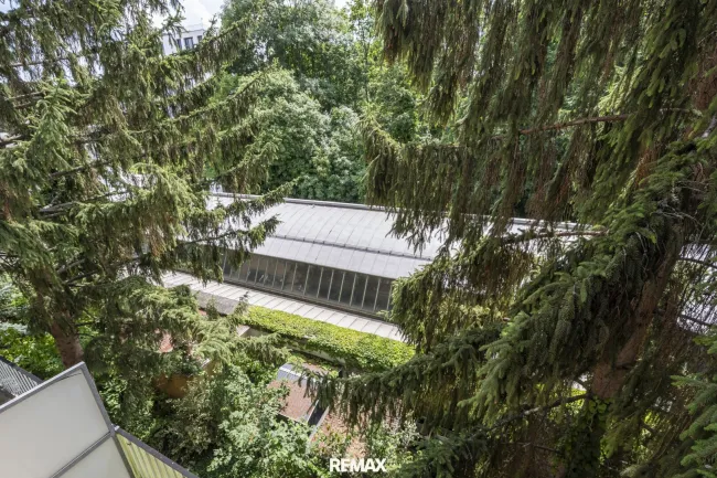 Ausblick Fenster Wohnung 1190 Wien
