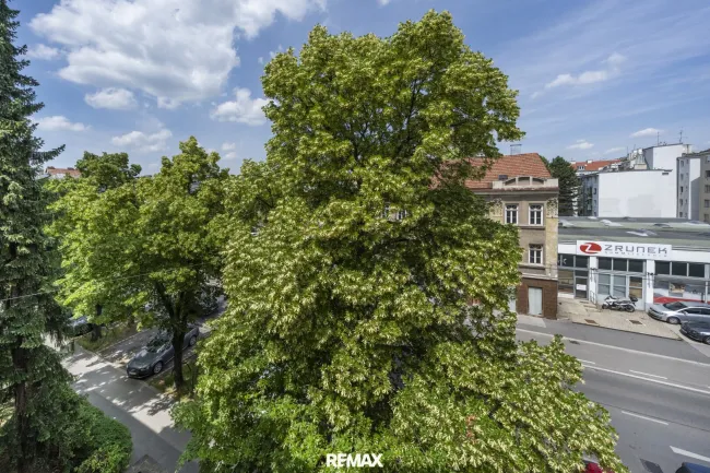 Ausblick Fenster Wohnung 1190 wien