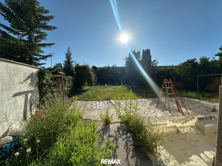 Blick Richtung Garten von der Seite
