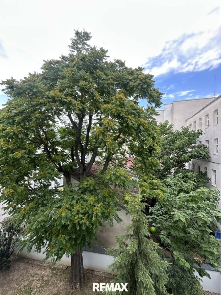 Helle 3-Zimmer-Eigentumswohnung mit Lift – Nähe Yppenplatz & Ottakringer Brauerei
