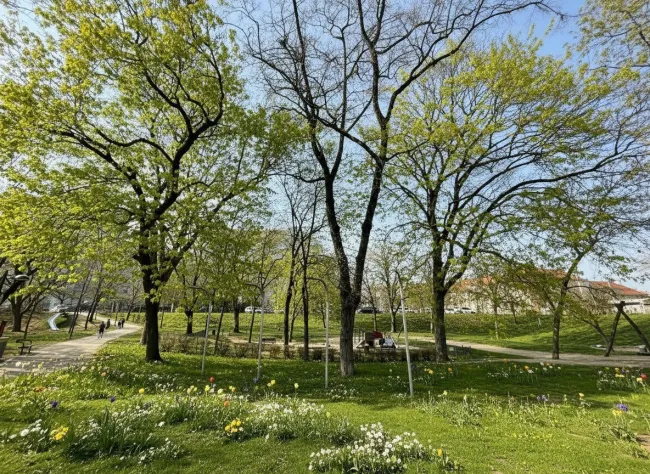 Trillerpark