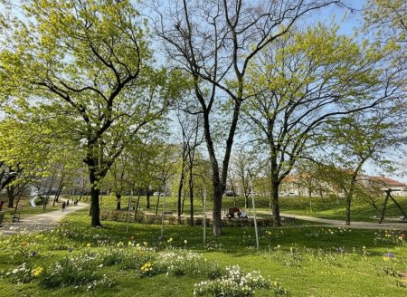 Trillerpark