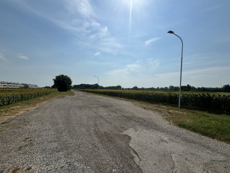 Grünland in zentraler Lage in Neusiedl am See