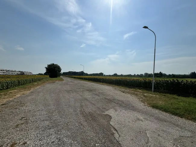 Grünland in zentraler Lage in Neusiedl am See - Bild