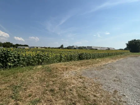 Grünland in zentraler Lage in Neusiedl am See