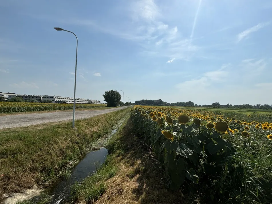 Grünland in zentraler Lage in Neusiedl am See - Titelbild