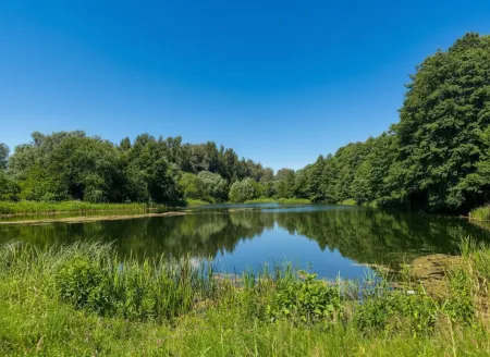 Erstbezug am Mühlwasser – 2-Zimmer-Dachgeschosswohnung mit Terrasse