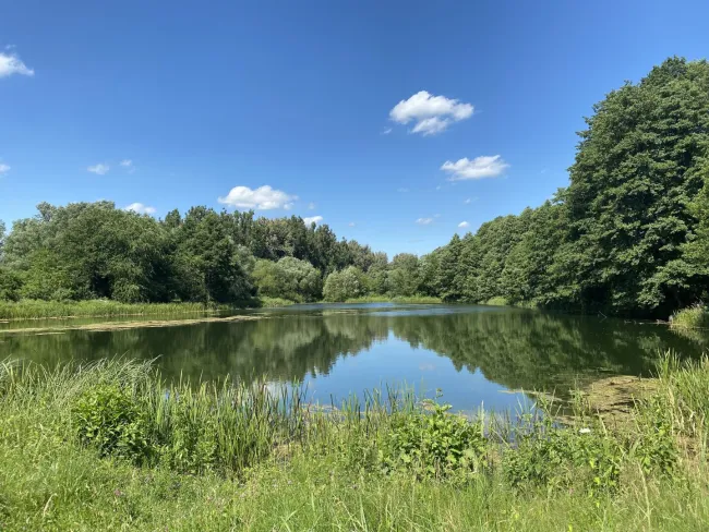 Erstbezug am Mühlwasser – 3-Zimmer-Gartenwohnung mit ca. 105 m² Freifläche und großem Eigengarten - Bild