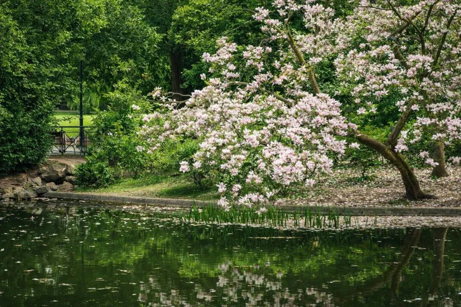PROVISIONSFREI – Cottageviertel – Exklusive Gartenwohnung mit ca.124 m² Wohnfläche und ca.280 m² Freifläche inkl. Eigengarten und Pooloption - Titelbild